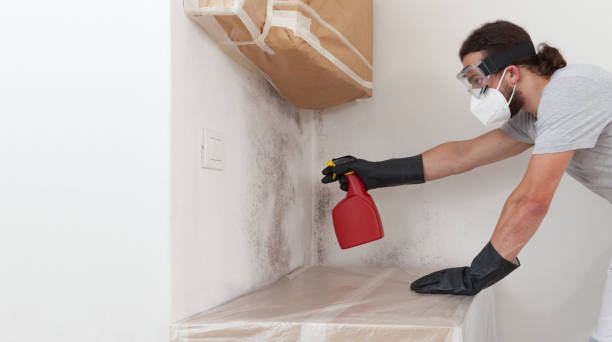 Professional Crawl Space Mold Remediation technician working in Andover, MN