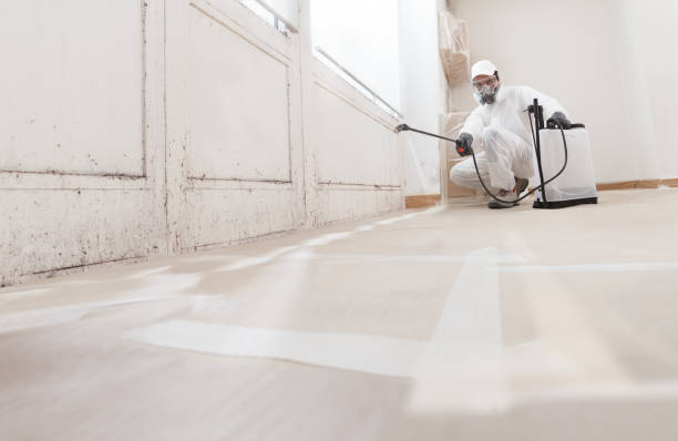 24/7 Emergency Crawl Space Mold Remediation experts in Andover, MN