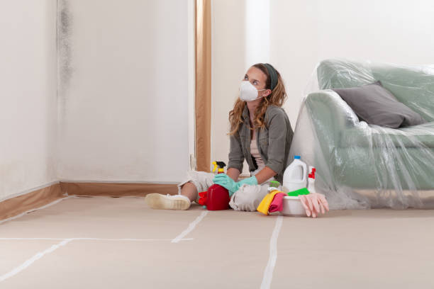 Reliable Crawl Space Mold Remediation contractor in Andover, MN by Car Mold Remediation